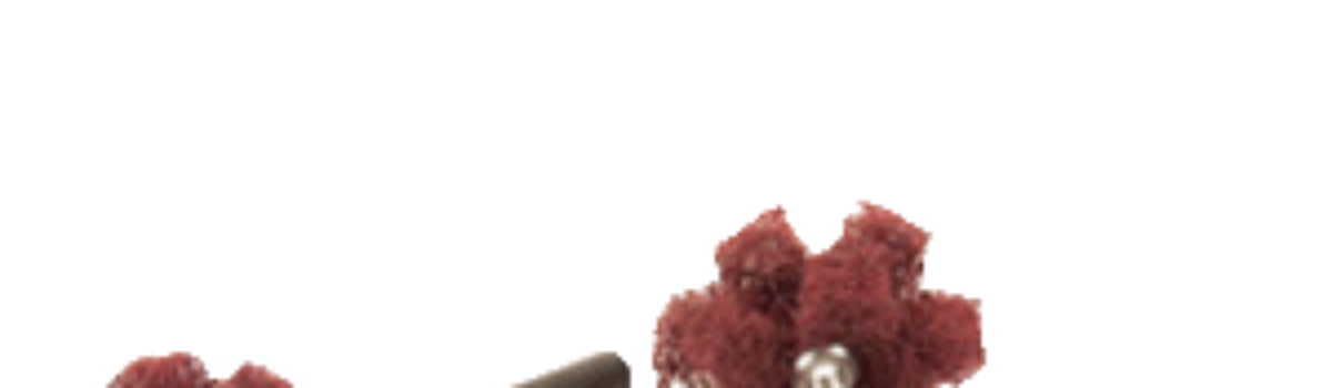Schleifsterne