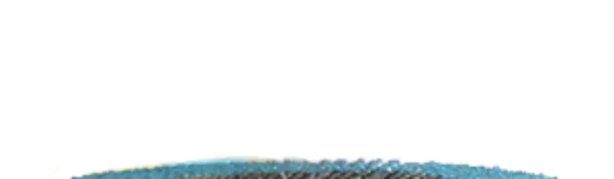 KÖLN Treated Zirconia BIG BOY Flap Discs