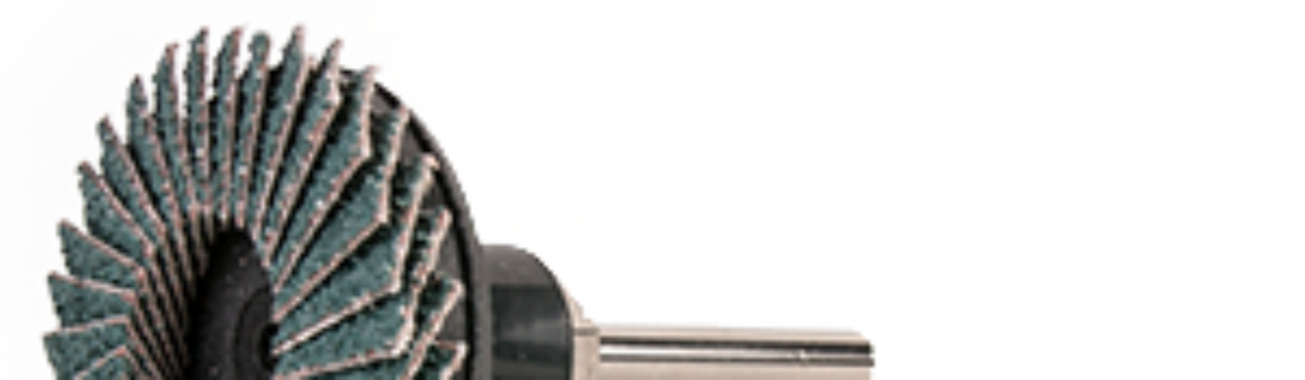 NEW YORK Zirconia Mini Flap Discs