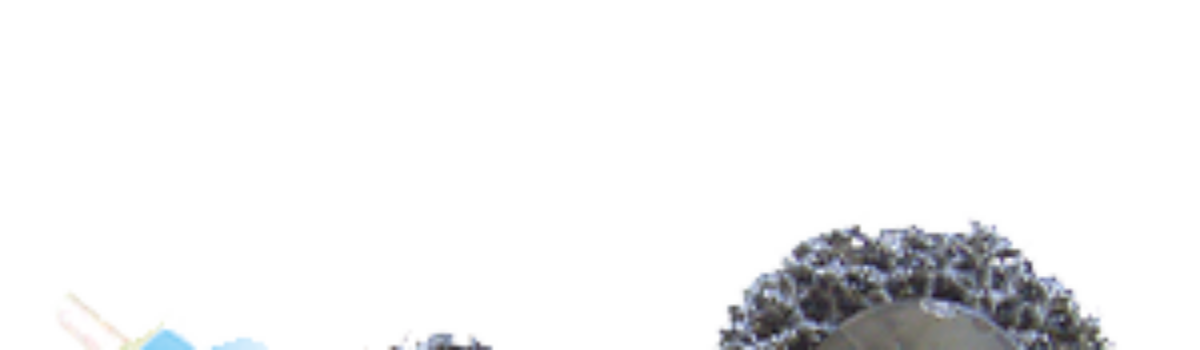 REX Quick Change Discs