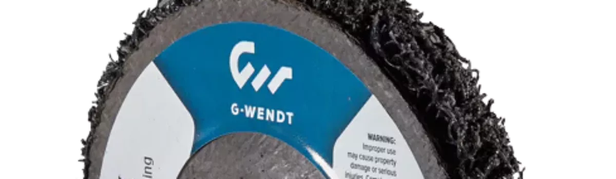 REX FLEX cleaning discs